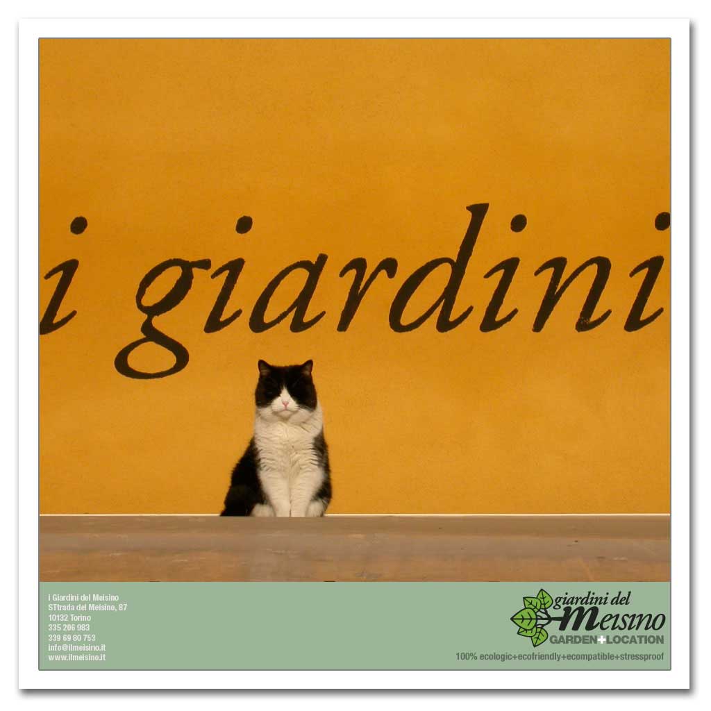 giardini meisino location torino 190